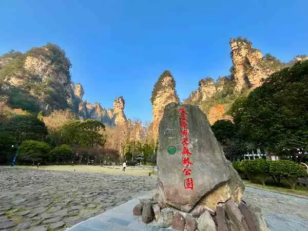 How to Explore Zhangjiajie National Forest Park: A Complete Guide for American Travelers
