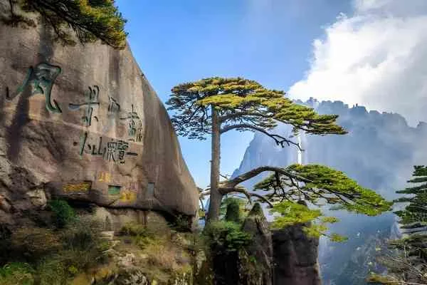 The Ultimate Guide to Planning a Mount Huangshan Tour: Scenic Wonders and Travel Tips for an Unforgettable Adventure